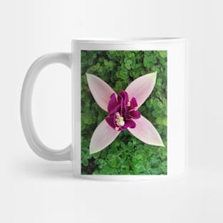 four petal floral fantasy with exotic center in purple and white Mug